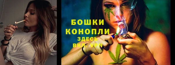 прущая мука Богданович