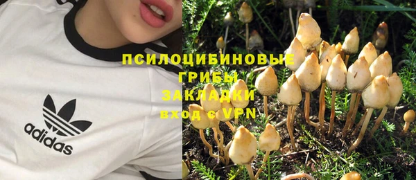 прущая мука Богданович