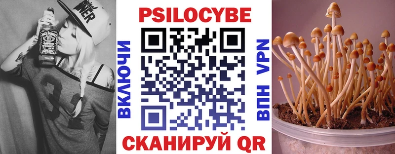 Галлюциногенные грибы GOLDEN TEACHER Новокубанск