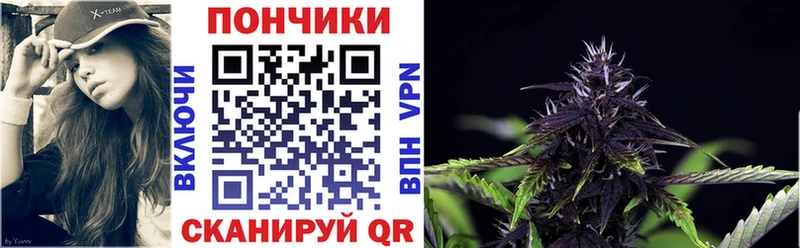 Бошки Шишки VHQ купить Новокубанск