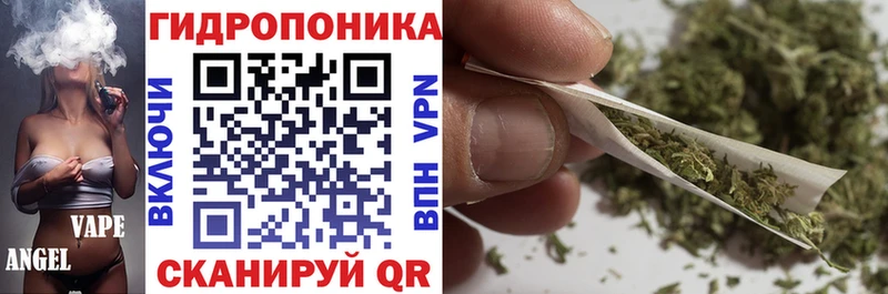 Бошки Шишки сатива Новокубанск